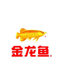 金龍魚(yú)